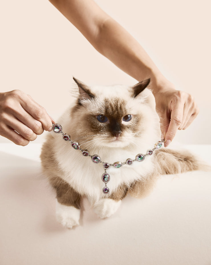 PET IT ON Rivière Necklace - Mystic Aurora - ARTĒ Madrid